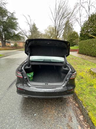 Trunk Size 