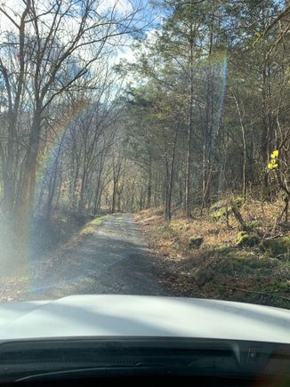 Deep in Log Lick Hollow 