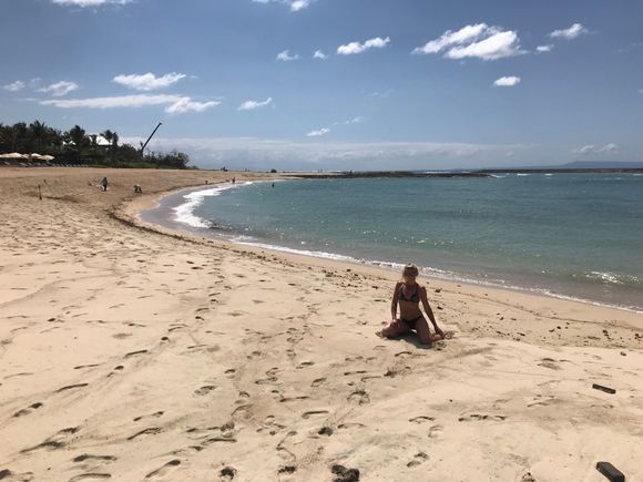 A Much Cleaner Beach