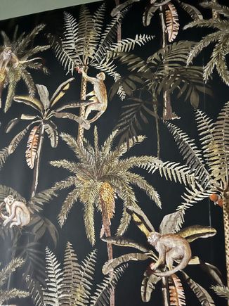 I Love this Monkey Wall Paper 
