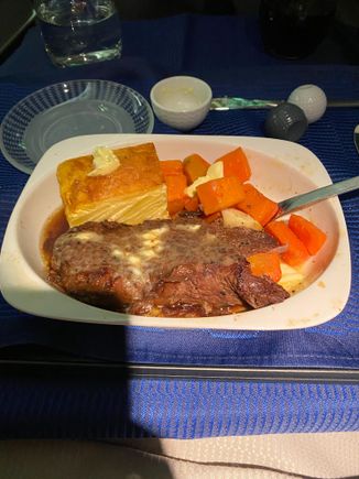 Got served the largest portion of meat I've ever had on a plane, ha, it was short rib and I slathered it in butter since it didn't really come with a sauce. Quite good and it absolutely stuffed me. It came with carrots and a potato au-gratin type thing that was good as well.