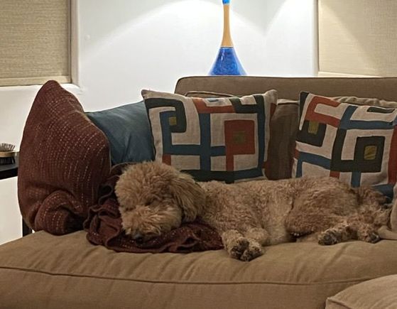 Edited to add: Then she got tired and missed all the excitement. 