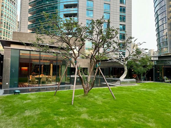 Garden outside the lobby