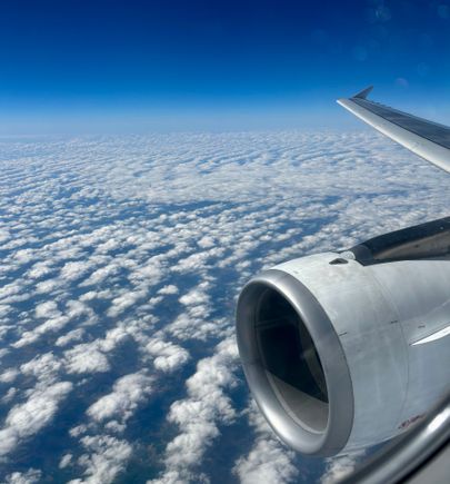 Mandatory inflight wing shot