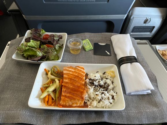 AA390 MEX-DFW salmon main, but no dessert