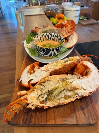 New Zealand Crayfish.