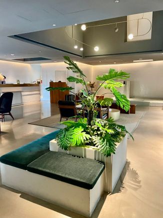 Lobby and lobby garden