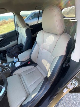 Front seats (notice the thigh extensioner)