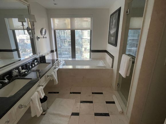 Bathroom with a view