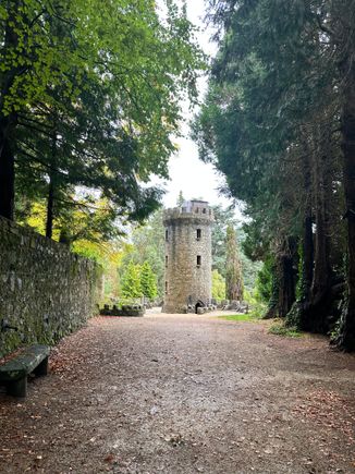 On the way to the tower