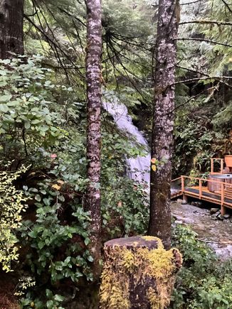 Woodland waterfall