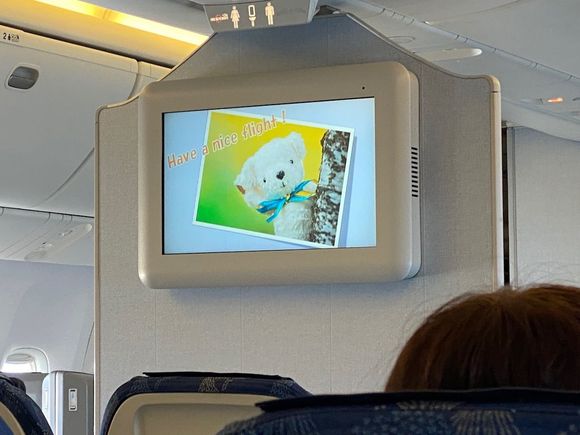 I think I will have a great flight!