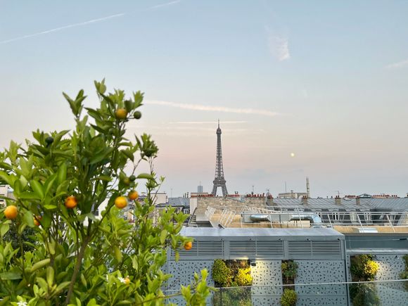 Sunset view of the Eiffel Tower from the rooftop