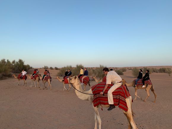 Camel Trek
