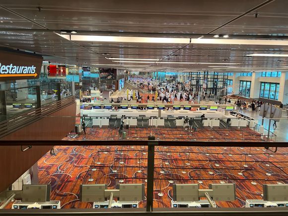 T1 view