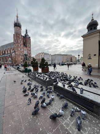 Cracow