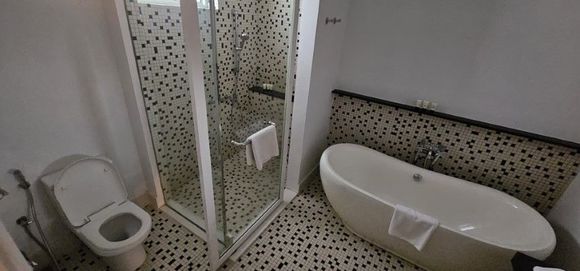 Bathroom, including shower and a large tub