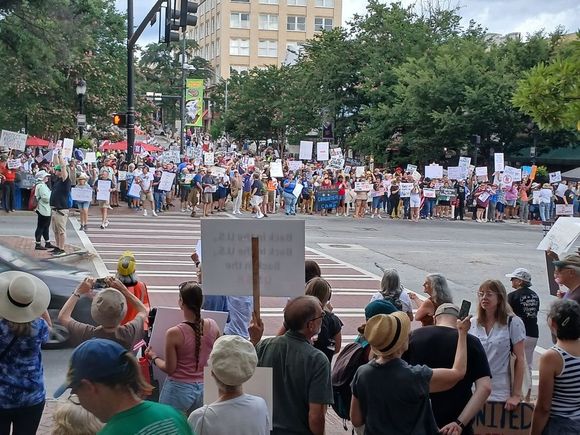 Crowd kept swelling in first 20 minutes. Must be a lot of childless cat ladies around.