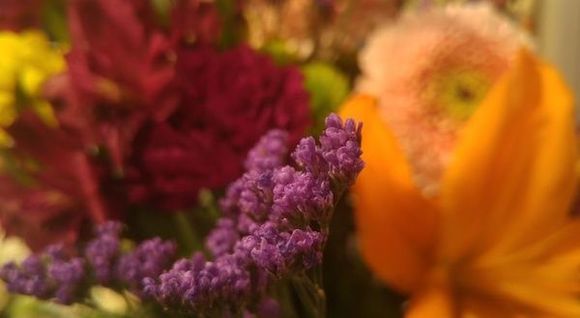 flower1