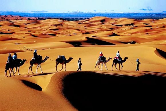 Sahara Holiday Tours