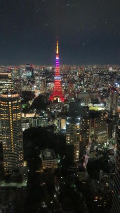 Tower View at night