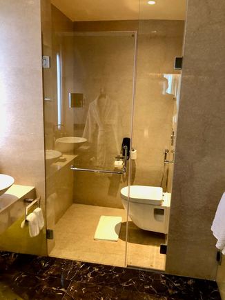 Toilet section