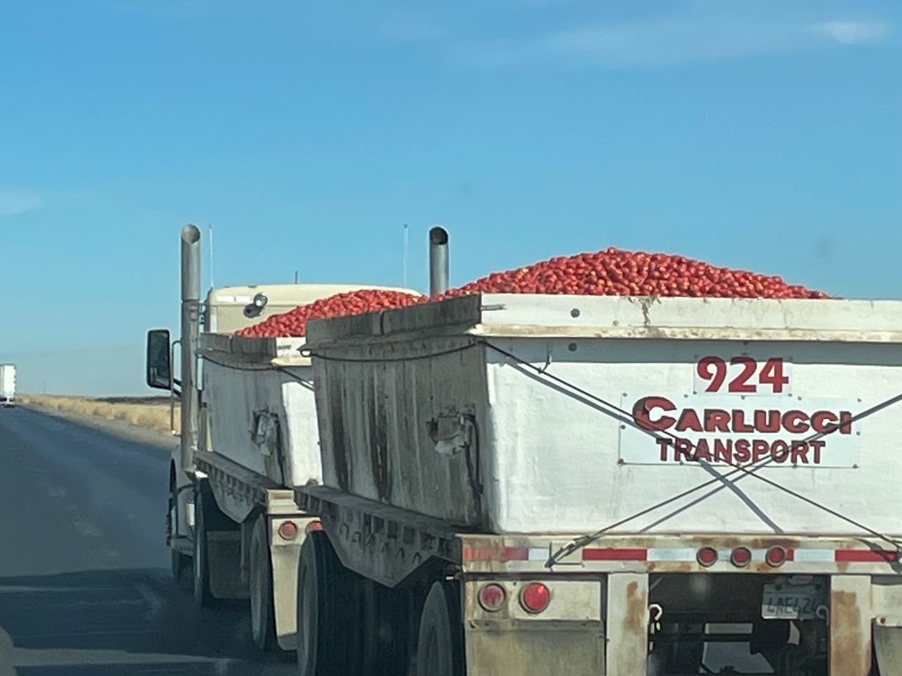 As I said, the San Joaquin Valley is one of the largest agricultural areas in California.  We must have passed at least 20 of these trucks taking Roma tomatoes to be processed. But...we have no water and agriculture doesn't represent the percentage of the economy it once did.  We have plenty of Apples, but those are Apple computers and phones.