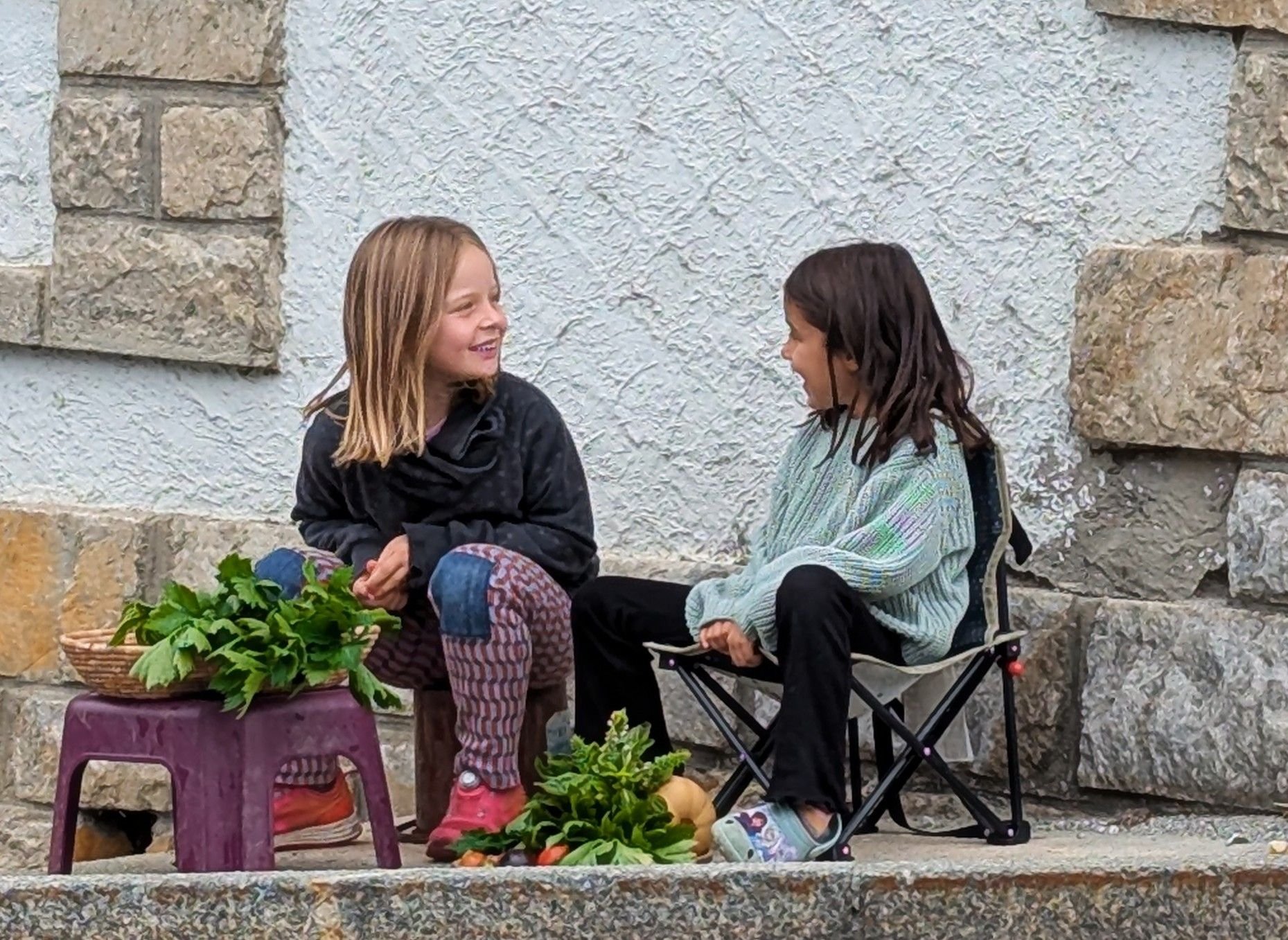 The hamlets vegetable sellers