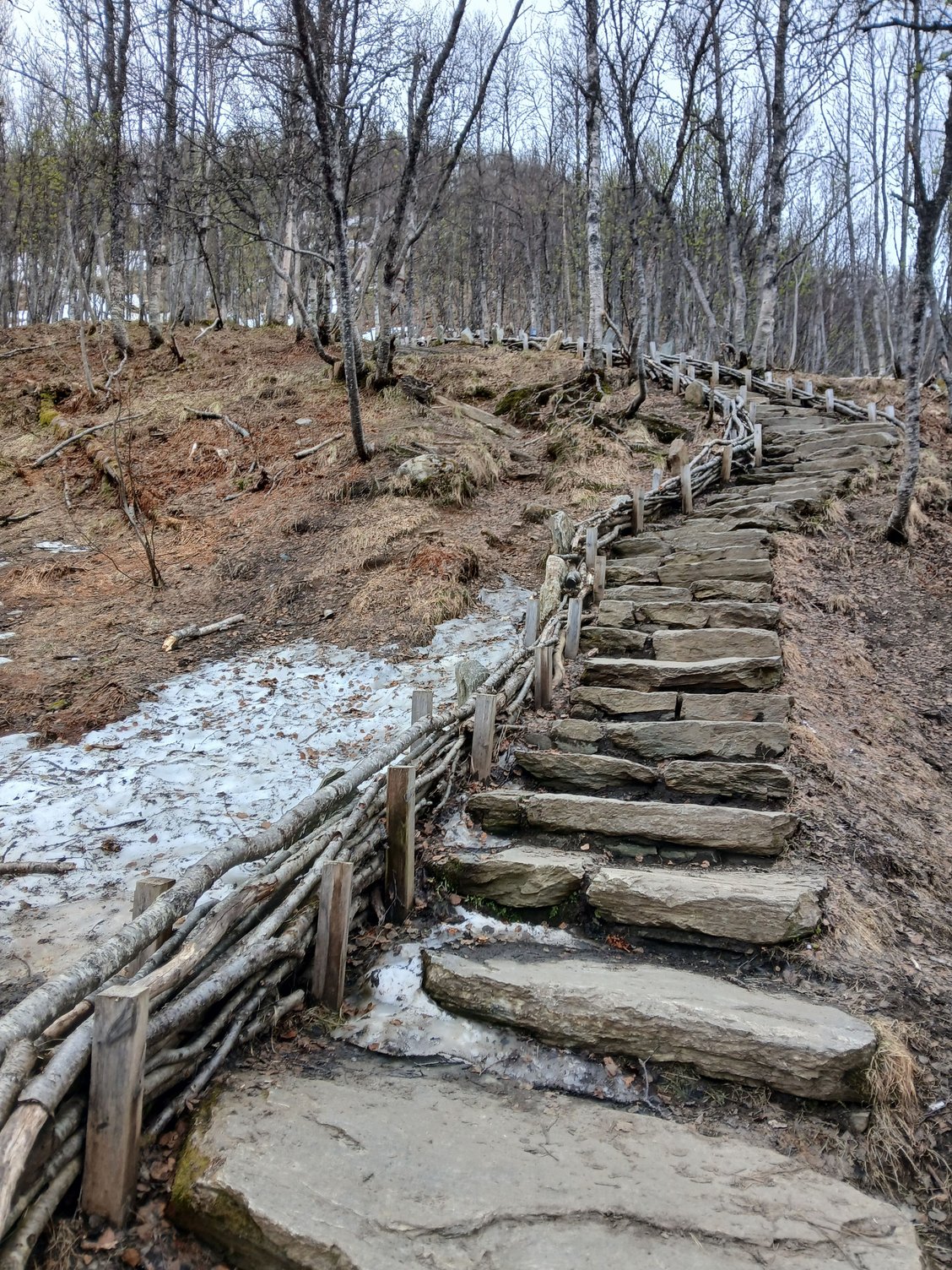 Heading up the sherpa steps