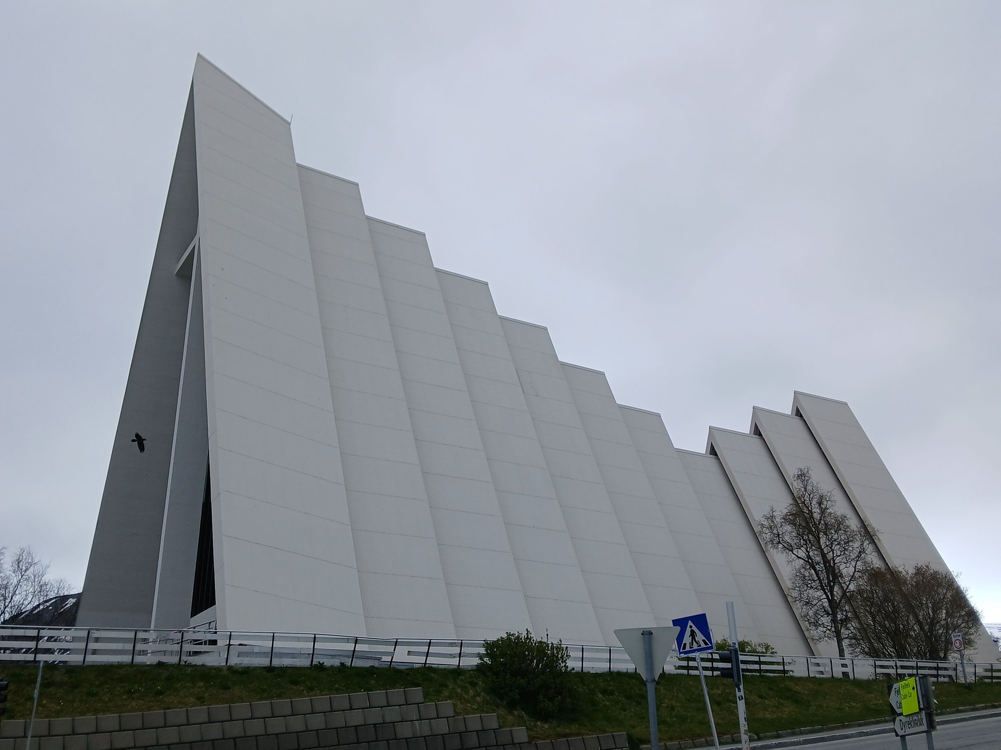 Side view