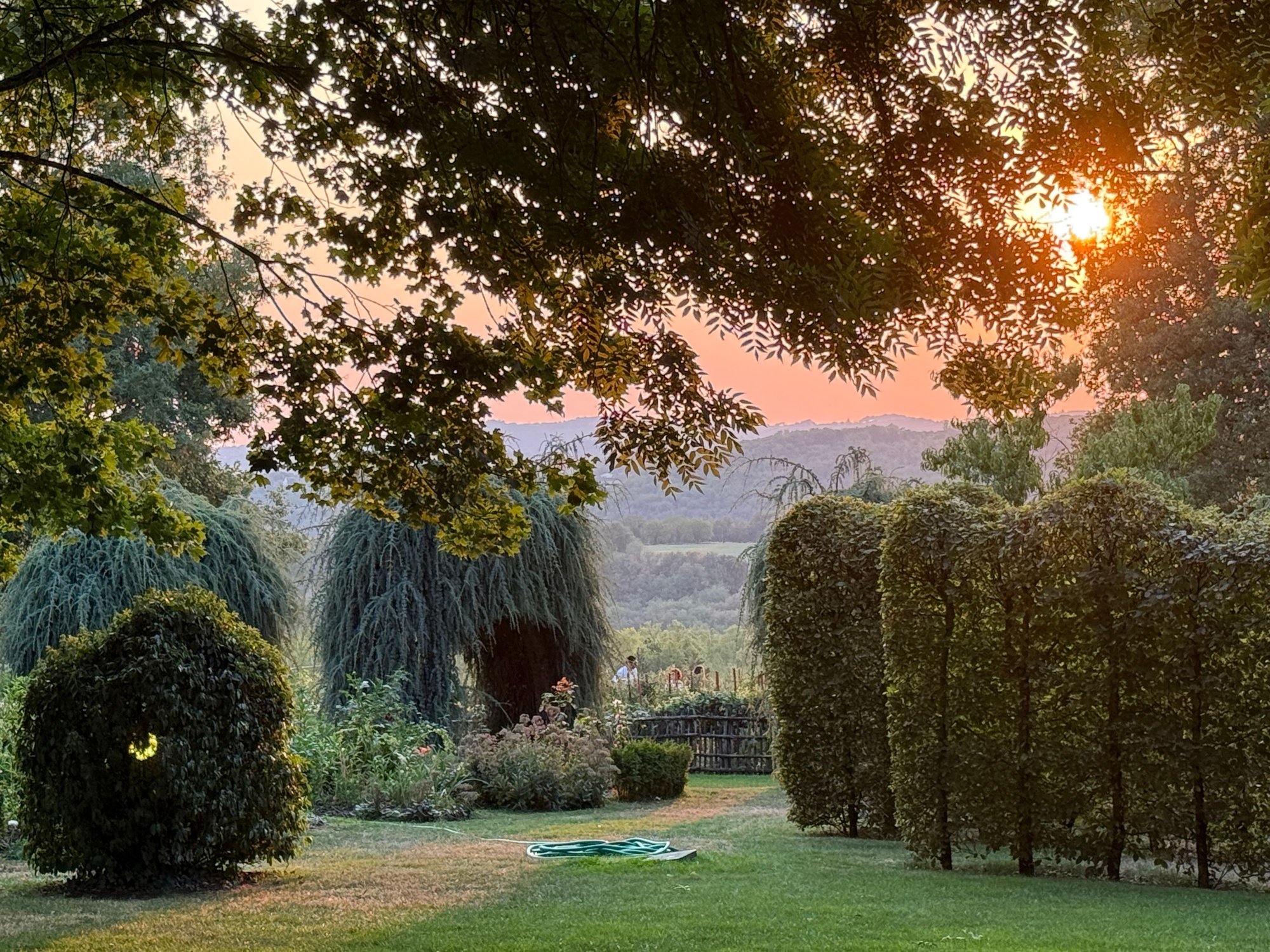 Sunset in the gardens