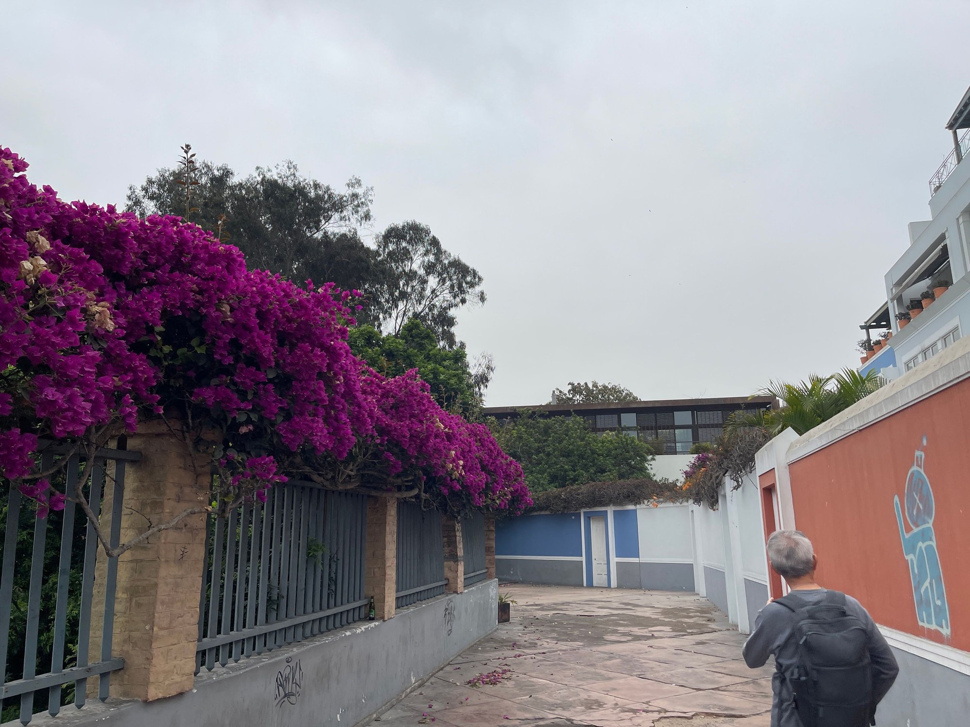 Bajada de los Ba�os (Descent to the Baths/ Path to the Beach)