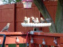 Kids in one of the pools! LOL