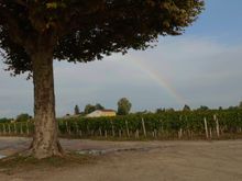 Our first winery. Must be a sign to buy...