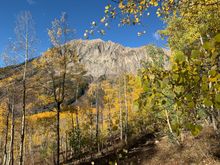 Mt. Gothic. Took Nelson’s great advice and headed up to the old Gothic ghost town which is now a major research center trying to figure out how to keep pollinators and other vital insects alive so we don’t starve, among other things.