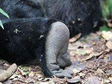 clearly, I was intrigued by feet!