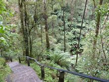 Walking trail 