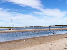 There’s a Mum & a toddler in the pond, the pelicans don’t take any notice.