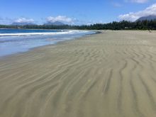 Incredible beach walks