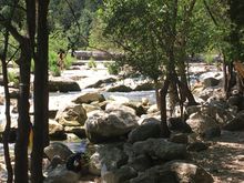 Rapids along the Greenbelt trails