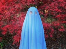 Boo!! My grandson!!  It’s what he wanted to be and his parents were more than happy. And what a safe way for me to post his picture on the Internet! 