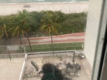 We had someone sheltering with us off and on today.