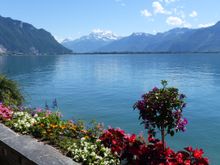 Beautiful in the sunshine