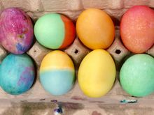 My son is a traditionalist