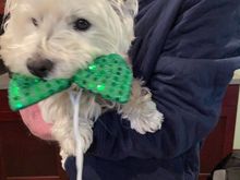 Barry not so keen on the holiday!