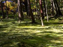 Kokedera Moss Temple