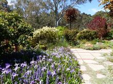 Lots of garden ‘rooms’