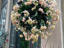 Hanging globe of orchids