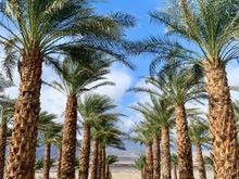 Resort grounds 