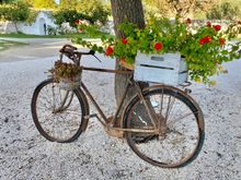 Life in the slow lane